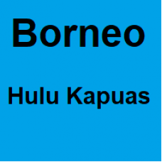 Borneo Hulu Kapuas - 1 Kilo - Starting at € 45,- per kilo Borneo Hulu Kapuas - 1 Kilo - Starting at € 45,- per kilo